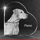 VIP-LASER 2D Gravur Glasherz L mit Deinem Hundefoto Hund graviert!. Dein Wunschfoto für die Ewigkeit Mitten in Glas! Groesse L = 60x60x19mm