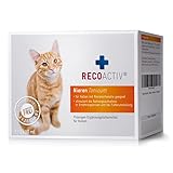 RECOACTIV Nieren Tonicum für Katzen, 3 x 90 ml, Ergänzungsfuttermittel zur Rekonvaleszenz bei frühen Anzeichen Einer Nierenfunktionsstörung der Katze sowie zur Prophylaxe