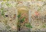 1art1 Mauern Romantische Garten-Mauer, 3-Teilig Selbstklebende Fototapete Poster-Tapete 360x250 cm
