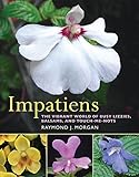 Impatiens: The Vibrant World of Busy Lizzies, Balsams, and Touch-me-nots