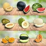 9 verschiedene Melonen-Sorten über 200 frische Samen 100% Natursamen aus Portugal rar sehr hohe Keimrate