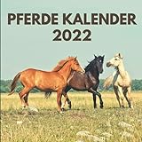 Pferde Kalender 2022: Ein monatlicher Pferdekalender | Januar bis Dezember 2022 | Für Schreibtisch, Büro, ideal zum Schreiben von Terminen, ... für Männer, Frauen, Mädchen, Pferdeliebhaber