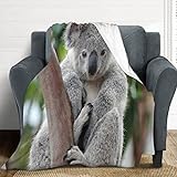Proxiceen Koalabär Decke Weich Wärme Flanell Sofadecke Deckeldecke Nette Graue Koala-Tiere Kuscheldecke Für Bett Oder Sofa (01,150 x 200 cm)
