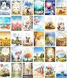 the lazy panda card company 30 verschiedene bunte und lustige Geburtstagskarten mit Umschlägen (gemischtes Alter)
