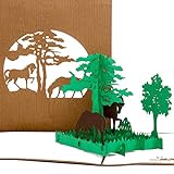 Pop Up Karte 'Wildpferde in Natur ' Pferde Karten in 3D als Geburtstagskarte, Geschenk & Einladungskarten zum Geburtstag & Kindergeburtstag - Dekoration, Deko Pferd Modell & Geschenkverpackung