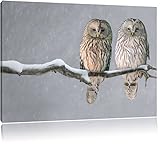 Pixxprint Zwei Eulen in Winterlandschaft als Leinwandbild/Größe: 80x60 cm/Wandbild/Kunstdruck/fertig bespannt