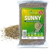 Greenyp® Sunny I dürreresistenter Trockenrasen I 2,5kg für 100m² I Grassamen Rasensamen Rasensaat Gras Nachsaat schnellkeimend