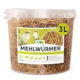 Mehlwürmer getrocknet 3 ltr. Premium Insektensnack Vögel, Fische, Schildkröten, Nager, Igel, Reptilien, Vogelfutter Wildvögel Ganzjährig Eichhörnchen Futter Hamsterfutter Igelfutter