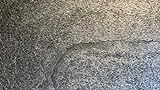 Dünnschiefer Schieferfurnier Stone Veneer Steinfurnier Wandverblender Echtstein Steinwand Glimmerschiefer Steintafel Wandverkleidung Naturstein Steintapete Marmor Sandstein (Stein, 200 x 100 cm)