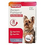 Zecken-Flohband Junior für Hunde | 8 Monate gegen Zecken & Flöhe | Mit SOS-Suchservice | Für Hundewelpen ab 12 Wochen | Farbe: Weiß | Länge: 60cm