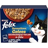 FELIX Sensations Gelees Katzenfutter nass in Gelee, Sorten-Mix, 6er Pack (6 x 12 Beutel à 85g)