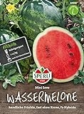 81555 Sperli Premium Wassermelone Samen Mini Love | Schnellwachsend | Melonen Samen | Wassermelonen Samen | Samen Wassermelone | Mini Melonen Pflanze | Mini Wassermelone | Melonen Samen Freiland