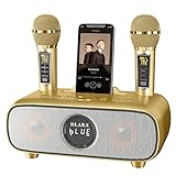 DLARA Upgrade Karaoke Maschine für Erwachsene und Kinder, tragbares Bluetooth 2 UHF drahtloses Karaoke Mikrofon mit Halterung/USB/TF-Karte/AUX-in, PA-Lautsprechersystem für draußen/drinnen-Gold