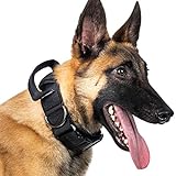 OneTigris Halsband mit Metallschnalle für Hunde (Schwarz, L)
