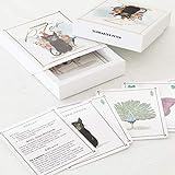 sendmoments Schwarzer Peter Kartenspiel, unterhaltsames Spiel, Box mit Spiel 112x130 mm mit Goldveredelung & Design, Aufbewahrungsschachtel inklusive Spielkarten-Set mit süßen Tiermotiven