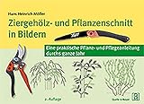 Ziergehölz- und Pflanzenschnitt in Bildern: Eine praktische Pflanz- und Pflegeanleitung durchs ganze Jahr