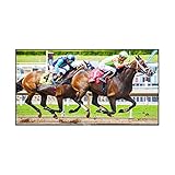 254 cm (100 Zoll) – 3840 x 2160 cm (100 Zoll) LCD-TV-Displays