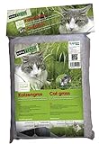 GLAESER easygreen - Katzengras 1,20 m² | Katzen Magenreinigung | Nahrungsergänzungsmittel für Katzen | Besonders geeignet für Hauskatzen | Hilft beim Haarballen