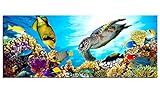 Glasbilder Wandbild AG312502087 Wunderbare Unterwasserwelt 125 x 50cm / Deco Glass, Design & Handmade/Eyecatcher, Kunstdruck!