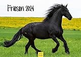 Edition Seidel Premium Kalender Friesen 2024 Format DIN A3 Wandkalender Pferdekalender Weltweit Tiere Pferde Ponys Stute Hengst Fohlen Schwarze Schönheit