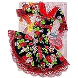 Folk Artesanía Blister Kleid und Accessoires Puppe Sintra Simona oder klassisch 42 cm. Andaluza Flamenca Punkte Gala Druck Blumen FL