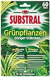 Substral Dünger-Stäbchen für Grünpflanzen mit Eisen-Plus und 2 Monate Langzeitwirkung, 60 Stück