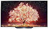 LG OLED65B19LA TV 164 cm (65 Zoll) OLED Fernseher (4K Cinema HDR, 120 Hz, Smart TV) [Modelljahr 2021]