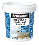 SchimmelX Reparatur- & Feuchtraum-Spachtel 1 Kg