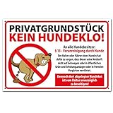 PG PICO signs SCHILDER UND MEHR Hochwertiges Schild aus Alu-Dibond PRIVATGRUNDSTÜCK kein Hundeklo 300 x 200 mm rechteckig | Hundekot, Hundehaufen |