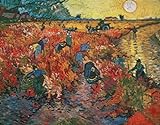 Azhangpu Art Poster Wandbilder Van Gogh Berühmtes Gemälde Rote Weinberge in Arles Ölgemälde auf Leinwand Poster und Drucke Wandkunst Bild für Wohnzimmer 60x90cm