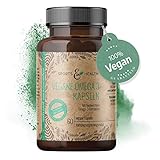 Omega 3 Vegan Kapseln Aus Algenöl - Reines und Veganes Omega-3 - Omega 3 vegan- 60 Kapseln - Beste Qualität