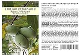 Seedeo Indianerbanane/Papau/Pawpaw (Asimina triloba) 3 Samen BIO