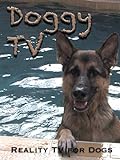 Doggy TV (Reality TV for Dogs) [OV]
