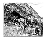 Kühe auf Almwiese am Trog, Monochrome Herdabdeckplatte & Spritzschutz aus Echtglas | Für Herd-Kochfelder | 60x52 cm