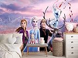 Frozen Wall Mural - Frozen Fototapete - Elsa Anna Olaf Bild Dekoration Wanddekor (144 x 100 Zoll/366 x 254 cm) Riesen Papier Poster für Kinder Schlafzimmer Mädchen Zimmer