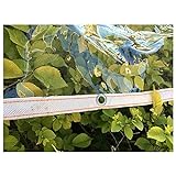 RYX Transparente Abdeckplane, wasserdicht, strapazierfähig, für den Außenbereich, PVC, Sonnenschutzmarkise mit rostfreien Ösen, für Pflanzenschutzabdeckungen (Farbe: Transparent, Größe: 1 x 1,5 m)