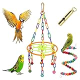 Papageienspielzeug Vogelschaukel Spielzeug Vögel hängende Hängematte Ring Glocke Haustier klettern Leitern Vogel Regenbogen Brücke Spielzeug Vogelspielzeug für Sittich Conure Mynah (grün)