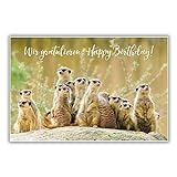 bsb - Glückwunsch Karte zum Geburtstag 11,5 x 17,0 cm - hochwertige Geburtstagskarte mit Umschlag - schöne Geburtstagskarten für Kinder/Frauen & Männer - Happy Birthday Karte mit Erdmännchen