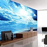 ZZXIAO Crystal Silk Wallpaper 3D-Wandbilder S Papers Home Decor für Wohnzimmer Eagle In Blue Sky Animal fototapete 3d effekt tapete Wohnzimmer Schlafzimmer Hintergrundbild-300cm×210cm