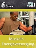 Muskeln - Energieversorgung - Schulfilm Biologie
