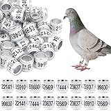 Poluka 100 Stück Taubenfußring 2021 Vogelbeinringe nummeriert Vogelfußring 8 mm Aluminiumbänder Halter Identifikation Taube Training Ringe für Vögel Tauben Papageien Geflügel
