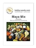 Maya Mix Zierkürbis von Bobby-Seeds, Portion