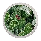 Kaktus-Knäufe für Küchenschrank, rund, Heimdekoration, Schrank, Schubladen, Kommode, Ziehgriff, 4 Stück (weißer Griff)