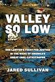 Valley So Low: One Lawyer's Fight for Justice in the Wake of America's Great Coal Catastrophe (English Edition)