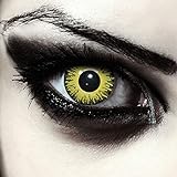 Gelbe farbige Pennywise Kontaktlinsen ohne Stärke für Halloween Kostüm, 2 Stück, Designlenses, Model: Yellow Fear
