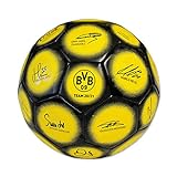 BVB-Unterschriftenball 2020/21 one Size