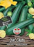 83570 Sperli Premium Zucchini Samen Diamant | Zucchini Saatgut | Zuchini Samen | Samen Zucchini | Lange Ernte | Zuchini Saatgut | F1
