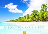 Faszination Karibik Premium Kalender 2022 DIN A3 Wandkalender Strand Meer Küste Palmen Karibik Malediven Seychellen Kuba Dominikanische Republik