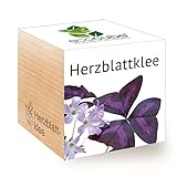 Feel Green 296442 Ecocube Herzblattklee/Love Plant, Nachhaltige Geschenkidee (100% Eco Friendly), Grow Your Own/Anzuchtset, Pflanzen Im Holzwürfel, Made in Austria