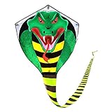Mint's Colorful Life Groß Drachen für Kinder und Erwachsene Drachen einleiner,Cobra Kite mit langem Schwanz, Drachen Schnur und Spule enthalten